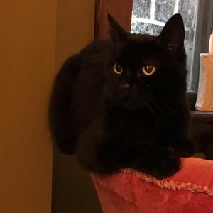 Meet your Posher, Laura